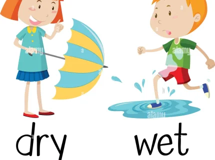 wet