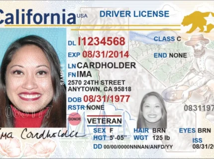 driving licence