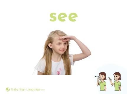 see