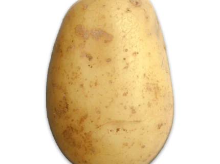 potato