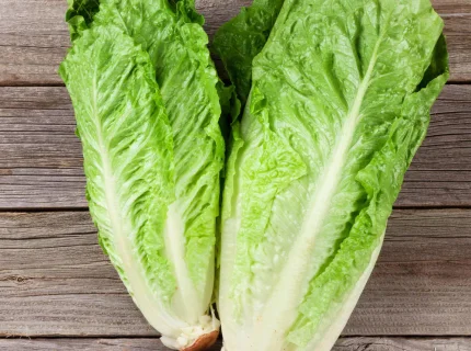 lettuce