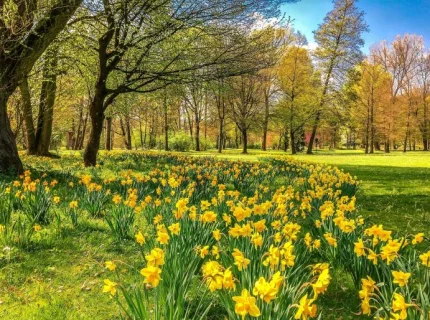 spring
