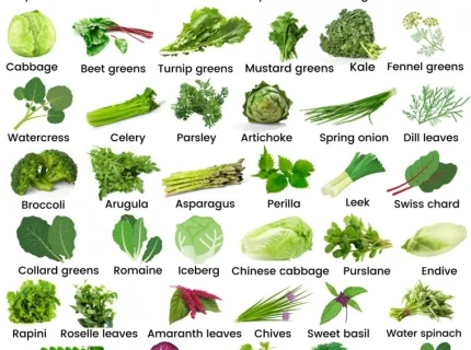 vegetable