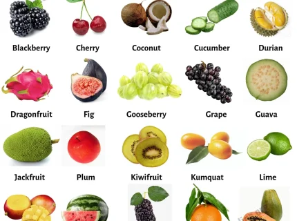 fruit
