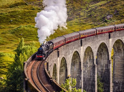 train