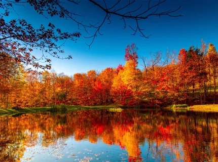 fall