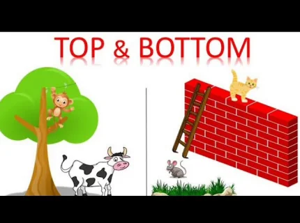 top