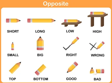 opposite