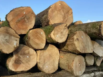 wood