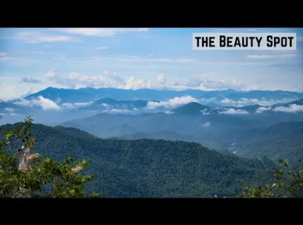 beauty spot