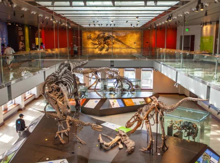 museum