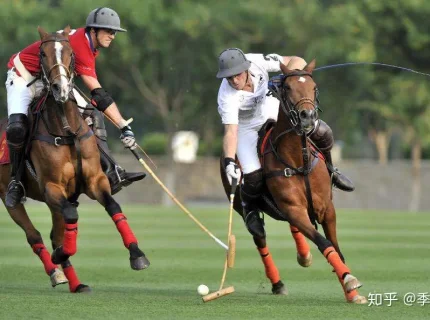 polo