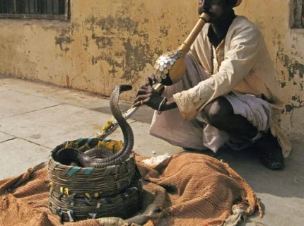 snake charmer