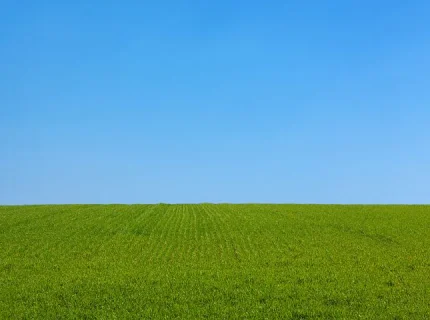 plain