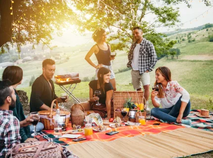 picnic
