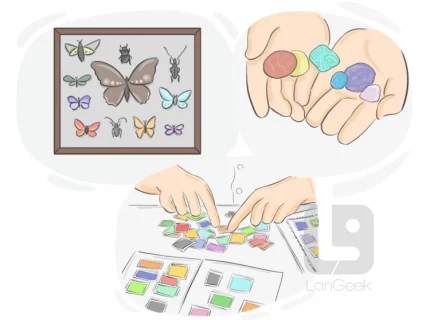 collect