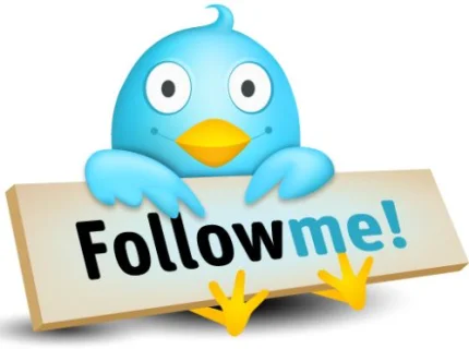 follow