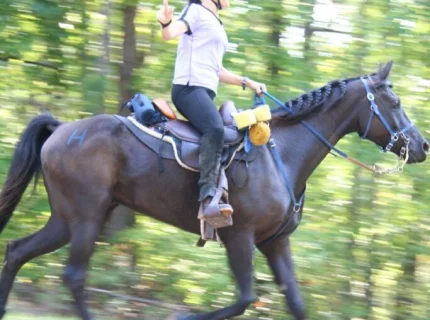 ride
