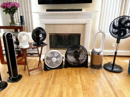 fan