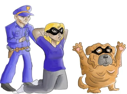 accomplice