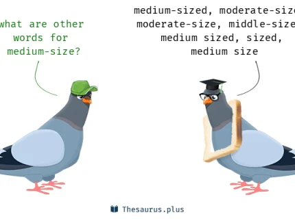 medium-sized