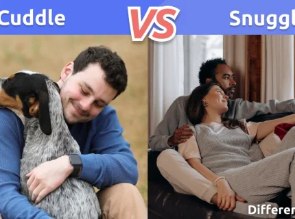 cuddle