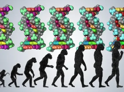 human being