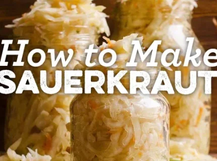Sauerkraut