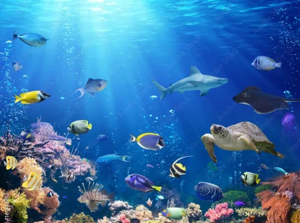 underwater