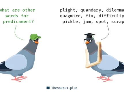 predicament