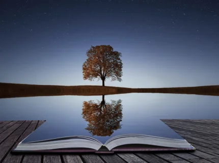 reflect