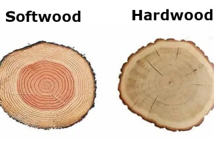 softwood