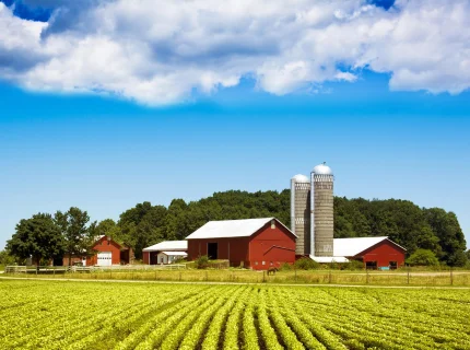 rural