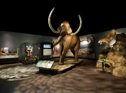 exhibit