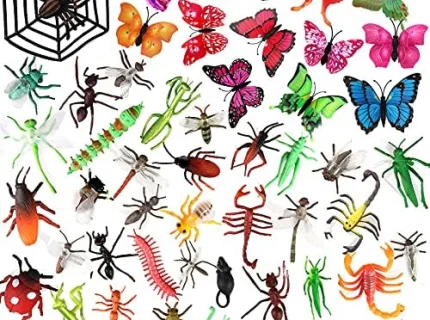 insect