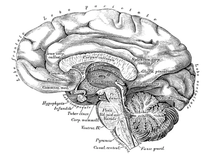 psychosurgery