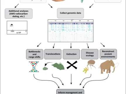 phytogeography