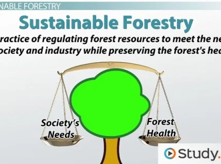 sustainable