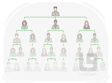 hierarchy