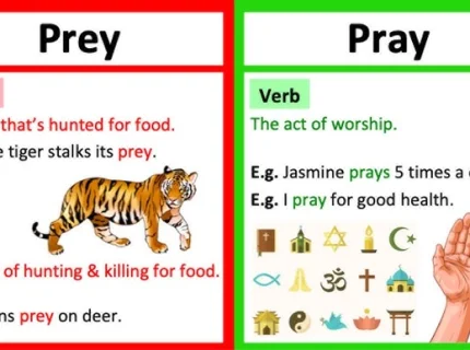 prey