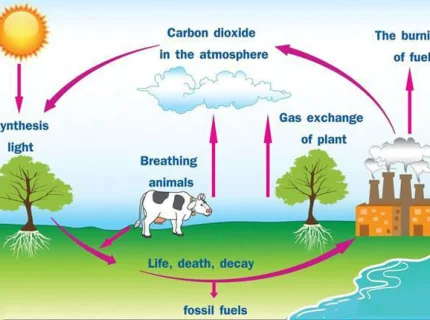 Dioxide