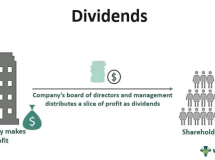 dividend