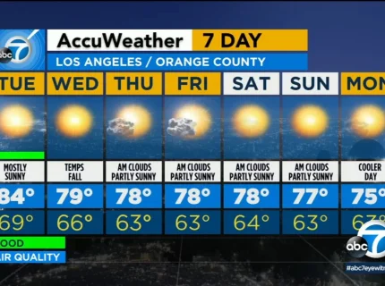 forecast