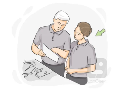 novice