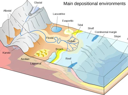 sediment