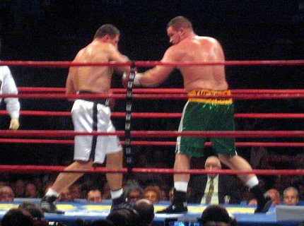 boxer