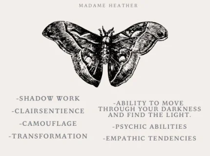 moth